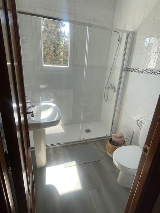 Exclusive Apartamento Limonar Малага Экстерьер фото